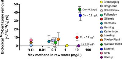 Importance of Methane Oxidation for Microbial Degradation of the Herbicide Bentazone in Drinking Water Production